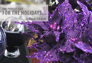The perfect gift for the holidays is yours to give at B&T in Dawson Creek.